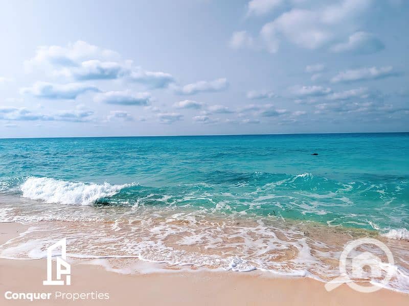 9 Untitled design - 2023-07-26T150526.631. png