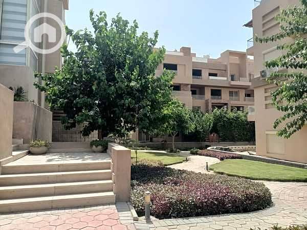 2 QE9o9MGhwgFS4tNIhOH3UxAtdTJjHXVqQ7H18Wip. jpeg