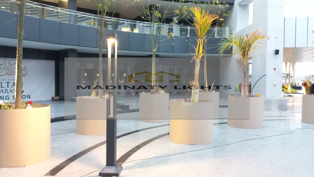 11 472670120_576684595271604_376741668833326627_n. jpg