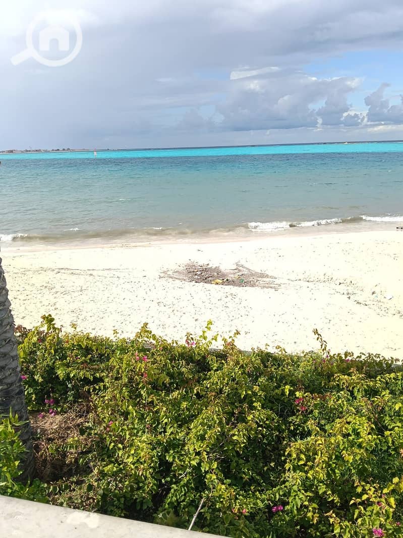 2 ed9b4c37-1a9e-4d99-830d-b8e4905f6421. jpg