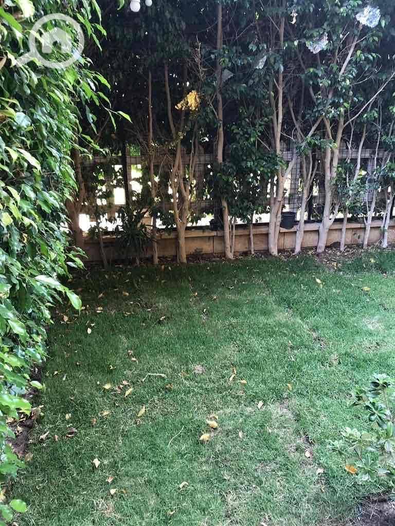 665cb0d4-b7bc-4716-b3a0-5ba5849bd5a2. jpg