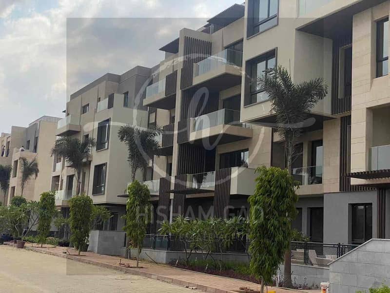 2 91d071e3-97ec-4f26-8d5a-1ecbf254f71d. jpg