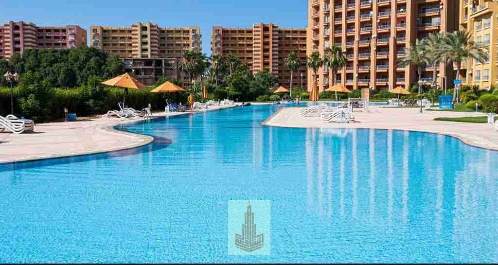 1000012330. jpg 1000012330. jpg