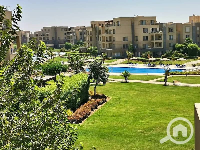 11 565676475_825537996719831_803339478990998950_n. jpg