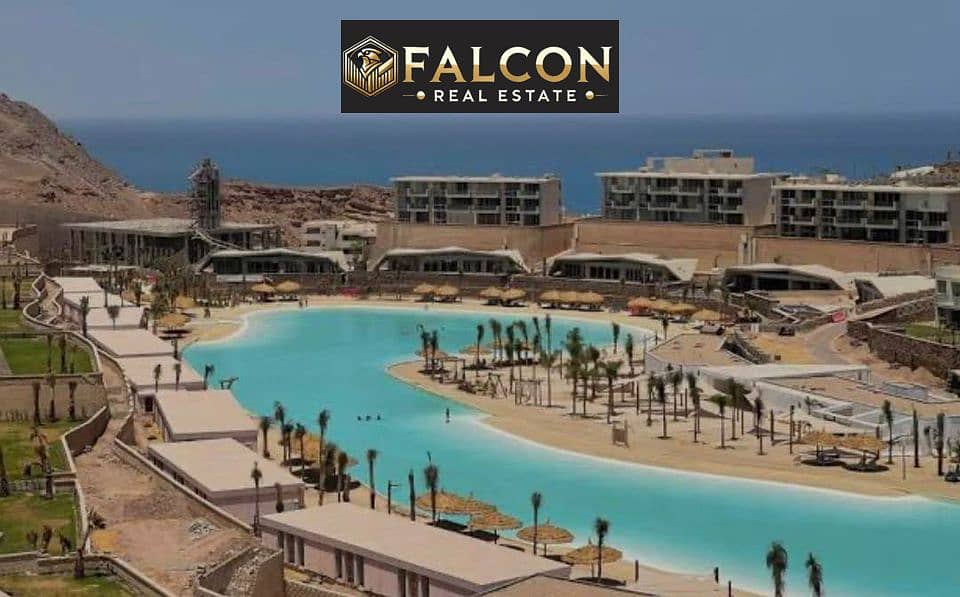 12 451488789_3638351089751959_4969549359572972517_n. jpg