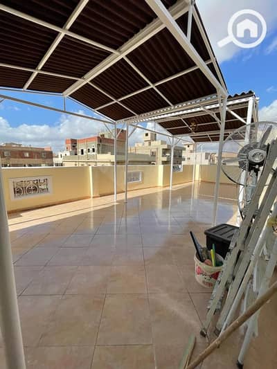 شقة 3 غرف نوم للايجار في زهراء المعادى، القاهرة - WhatsApp Image 2025-12-03 at 21.43. 02 (1). jpeg