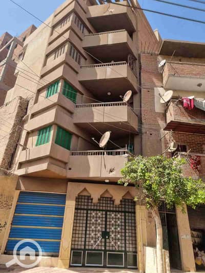 11 Bedroom Other Residential for Sale in Tanta, Gharbia - 1000166252. jpg