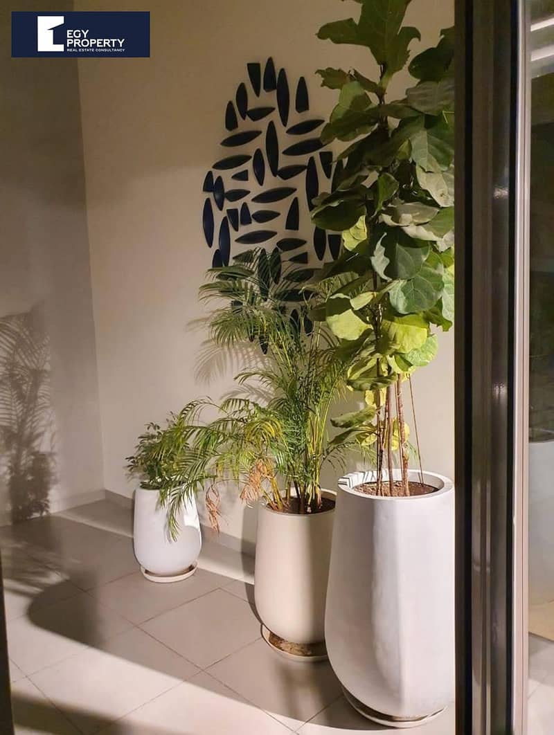 4 WhatsApp Image 2025-12-03 at 11.57. 10 AM. jpeg