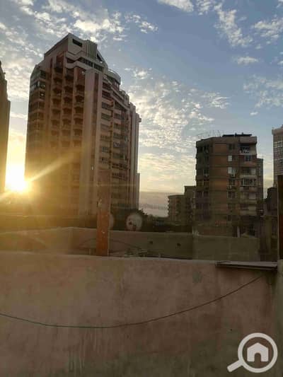 شقة 1 غرفة نوم للايجار في المعادي، القاهرة - IMG_20251203_162847. jpg