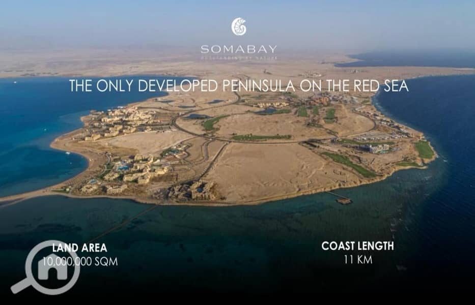 4 WhatsApp Image 2025-08-09 at 2.13. 34 AM. jpeg