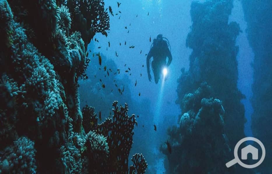 10 WhatsApp Image 2025-08-09 at 2.28. 53 AM (1). jpeg