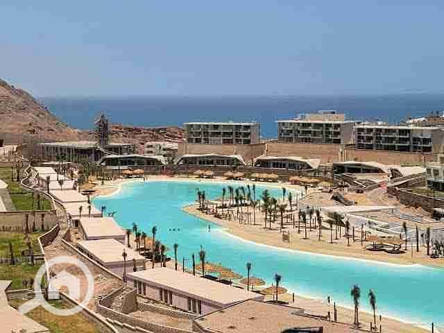 6 images - 2025-12-04T015448.565. jpeg