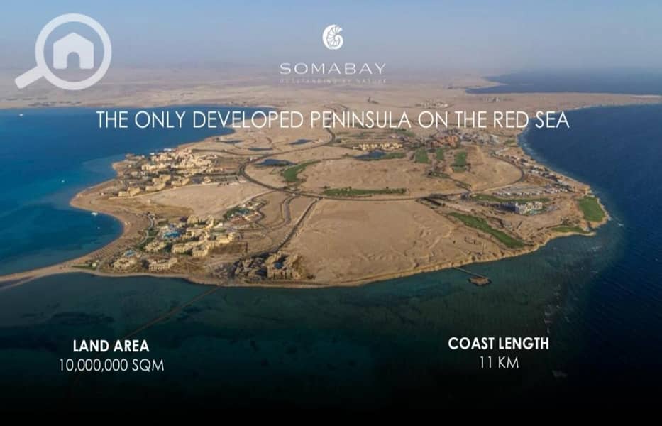 5 WhatsApp Image 2025-08-09 at 2.13. 34 AM. jpeg