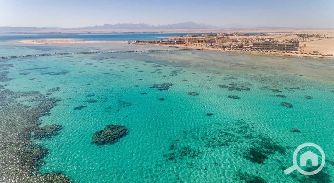 7 WhatsApp Image 2025-05-26 at 9.22. 33 AM (2). jpeg