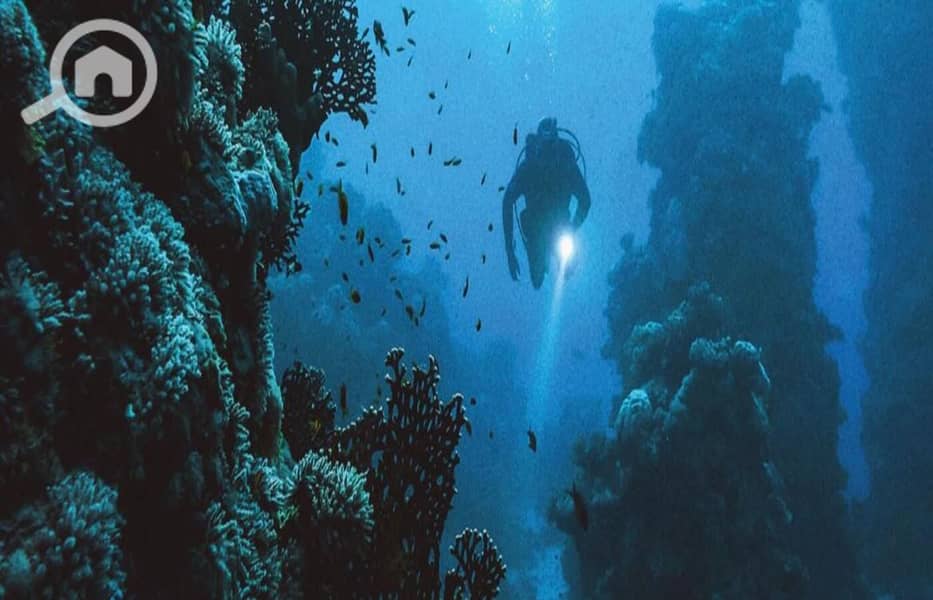 10 WhatsApp Image 2025-08-09 at 2.28. 53 AM (1). jpeg