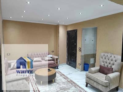 شقة 1 غرفة نوم للايجار في الدقى، الجيزة - IMG_7387. jpg