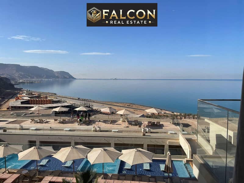 2 335687578_917002056102895_8363965067388991102_n. jpg