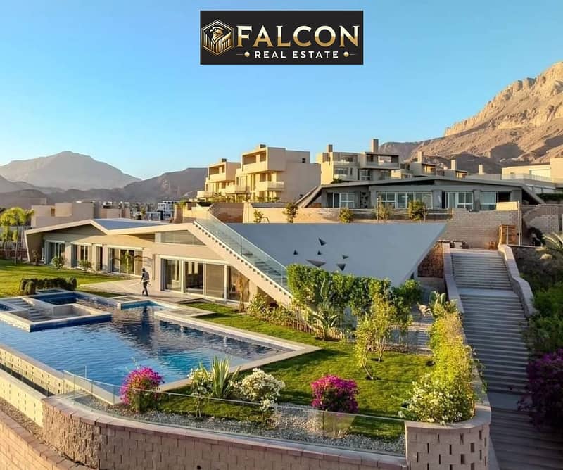 3 5870666565429609681. jpg