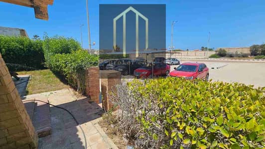 Retail for Rent in Heliopolis, Cairo - 1001378776. jpg