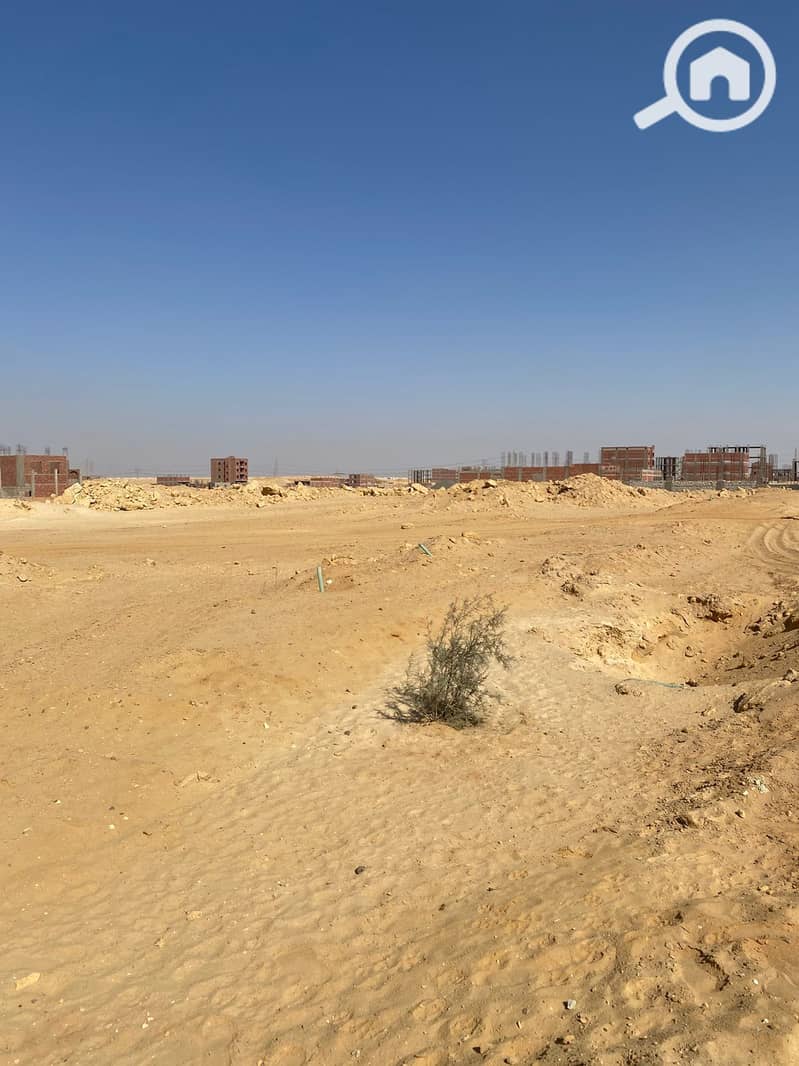 3 WhatsApp Image 2025-10-23 at 3.42. 38 PM (1). jpeg