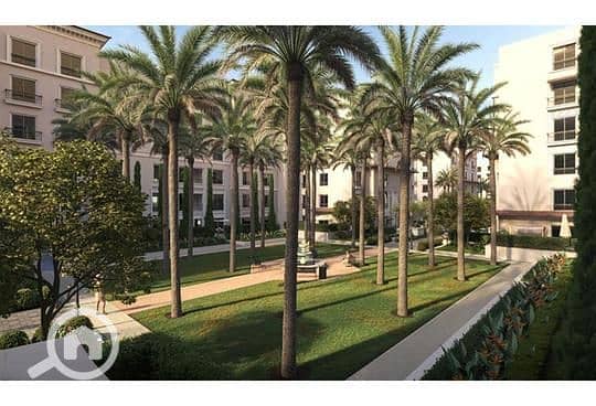 7 fa66baff-a041-11ef-8ef0-2e0c1bcecc0b. jpg