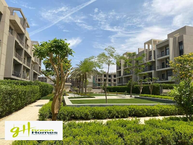 12 WhatsApp Image 2024-11-04 at 14.16. 33 (2). jpeg