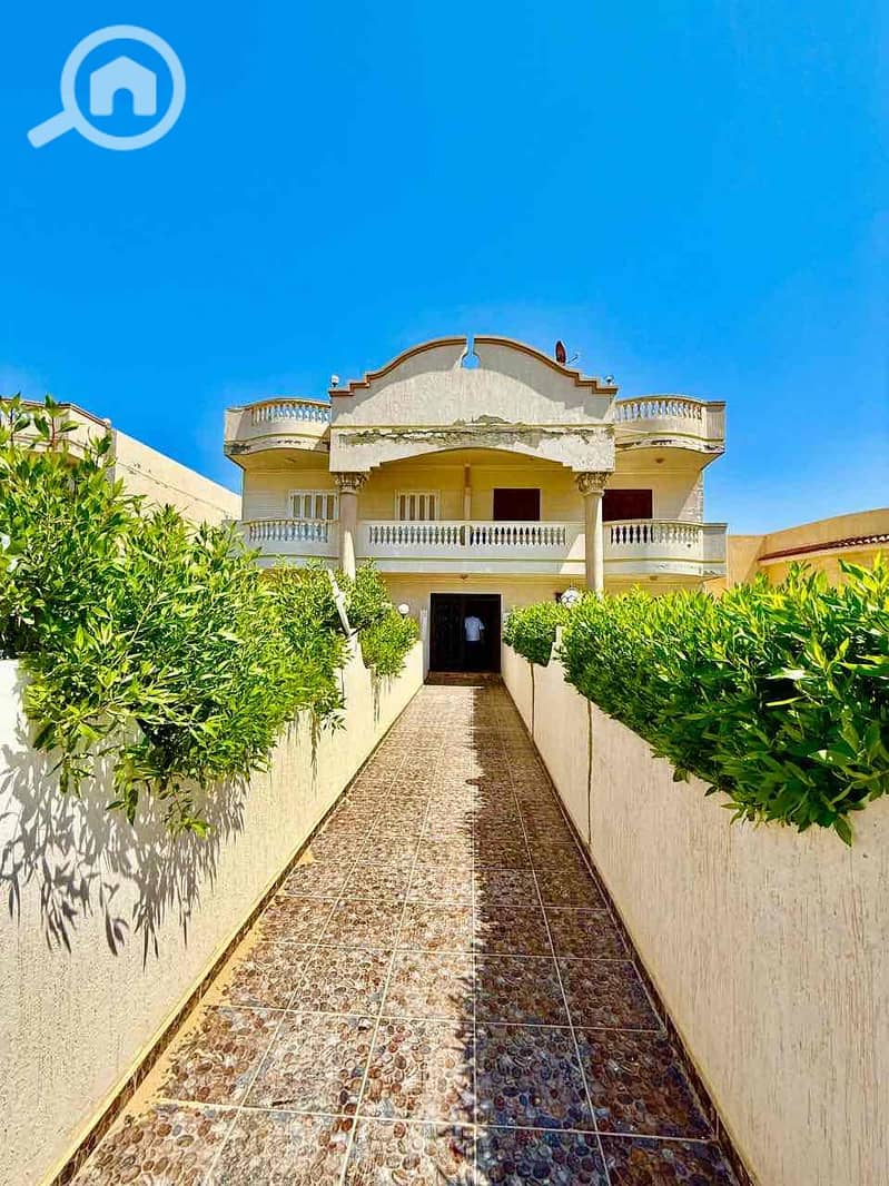 11 46bd9782-d66a-4da7-847a-1564b6c474c8. jpg