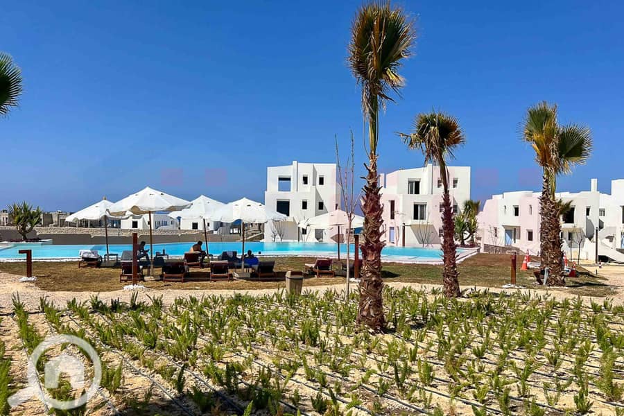 21 WhatsApp Image 2025-05-03 at 5.08. 11 PM (4). jpg