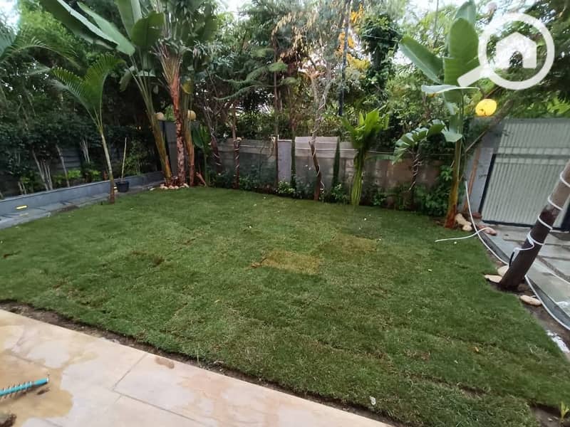 6 12087c62-485a-4063-a72a-d12dbb3641f3. jpeg