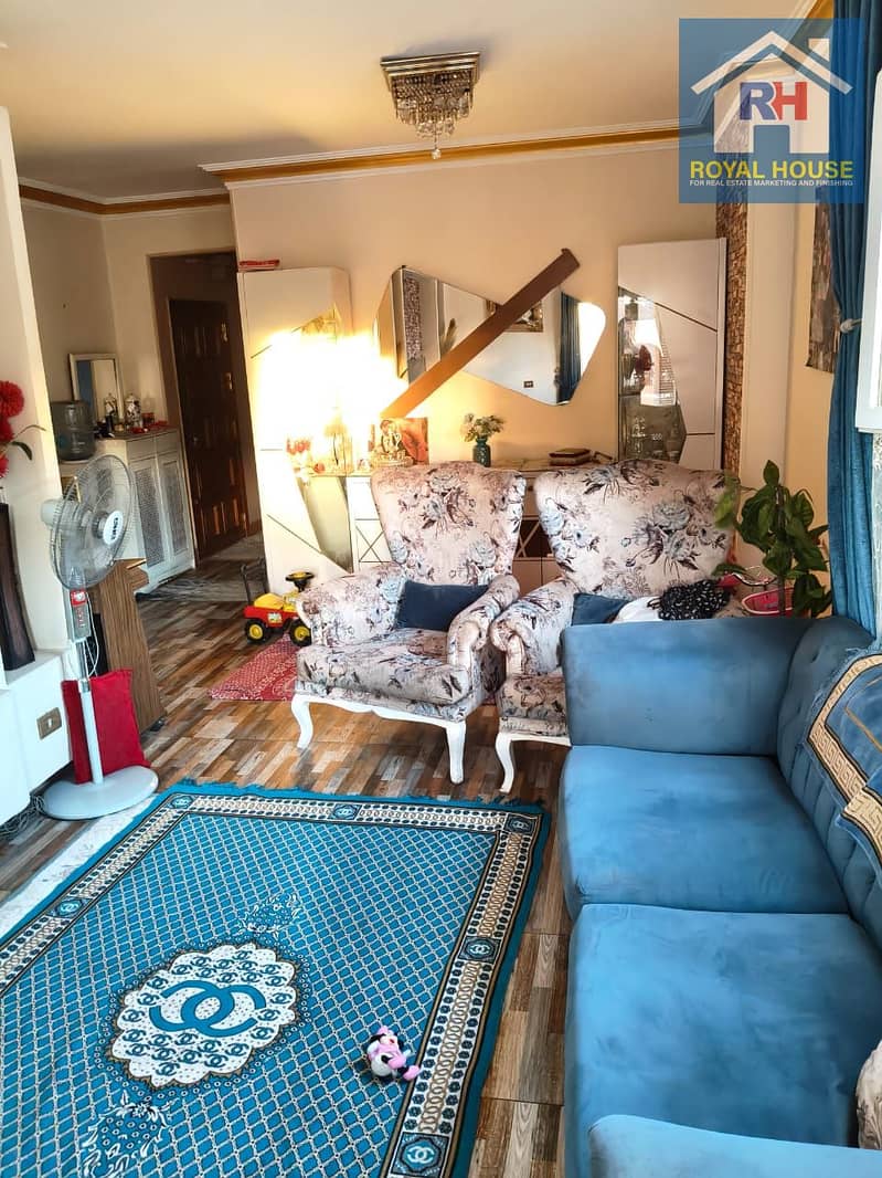 3 de498baa-7d83-4e0e-ae11-4f57c6b81436. jpeg