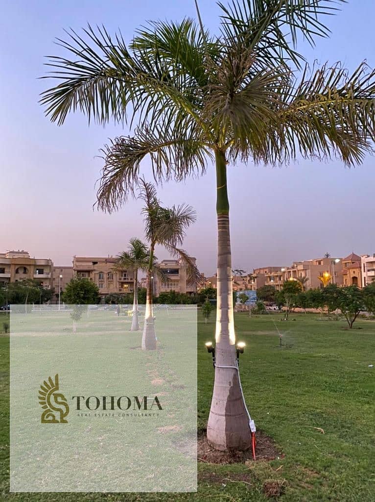 2 2330953e-289c-4e56-990e-e591a3299f38. jpg