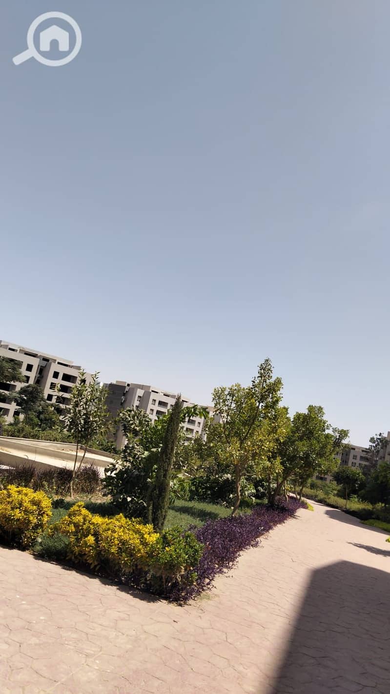 6 36a0910b-9321-4c24-8bac-2921d31dec7f. jpg