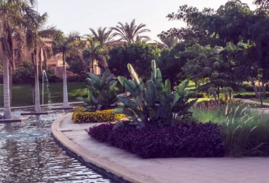 5 e4797ae9-cb42-42a3-8151-71dafedcf5cf. jpg