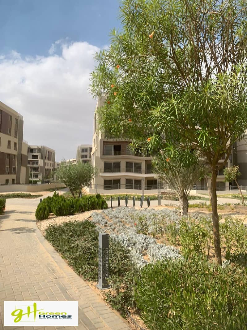 2 IMG-20250227-WA0012. jpg