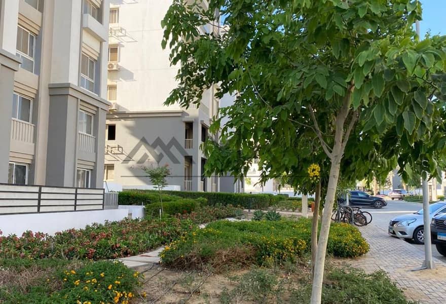 7 916ce2e0-91cc-49bc-86c7-b1e398bbac94. jpg