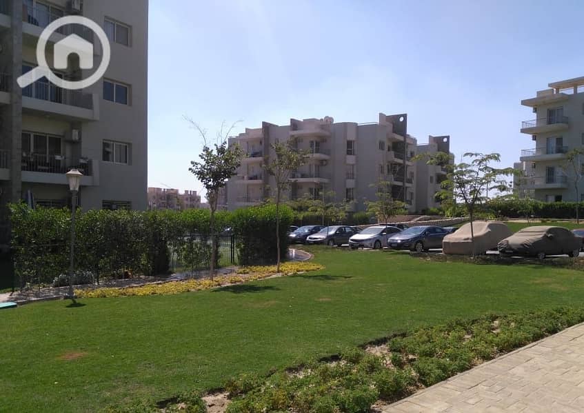 7a3976f7-63b2-4285-ba1f-79780a8dd7bc. jpg 7a3976f7-63b2-4285-ba1f-79780a8dd7bc. jpg