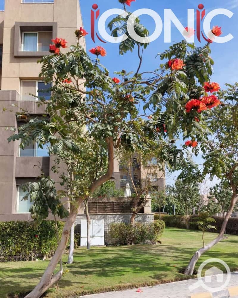 4 WhatsApp Image 2025-10-22 at 16.38. 07_0c6575fa. jpg