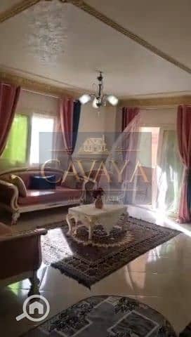 3 Untitled design (2). png