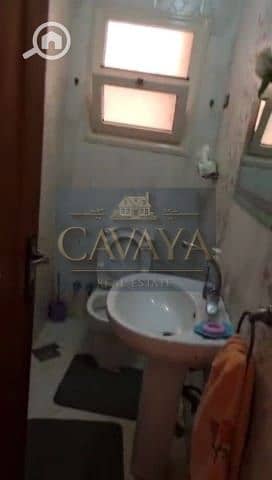 5 Untitled design (4). png