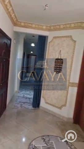 6 Untitled design (5). png