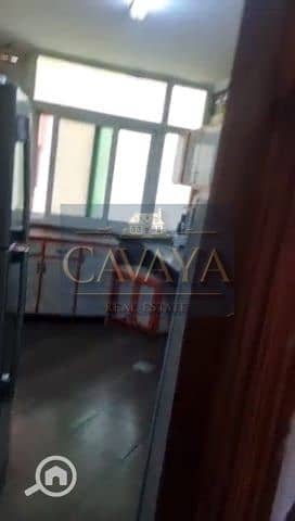 11 Untitled design (11). png