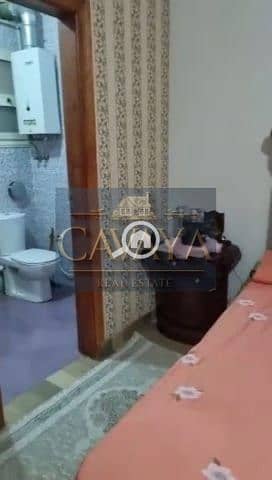 13 Untitled design (13). png