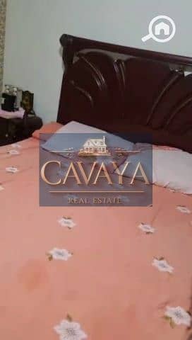 14 Untitled design (14). png