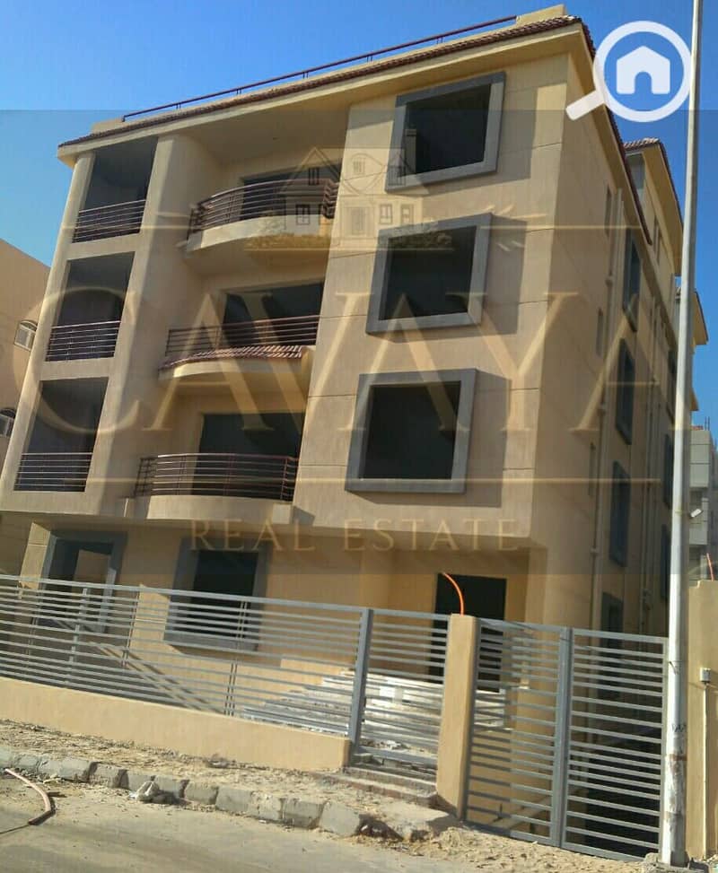 3 Untitled design. png