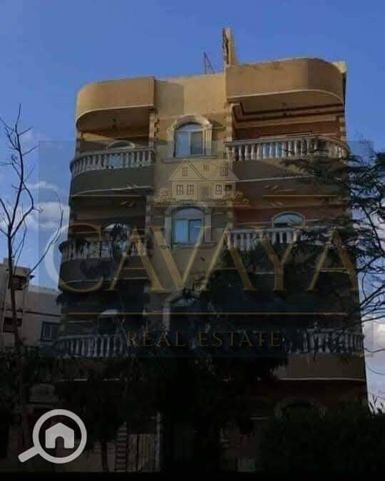 Untitled design. png Untitled design. png