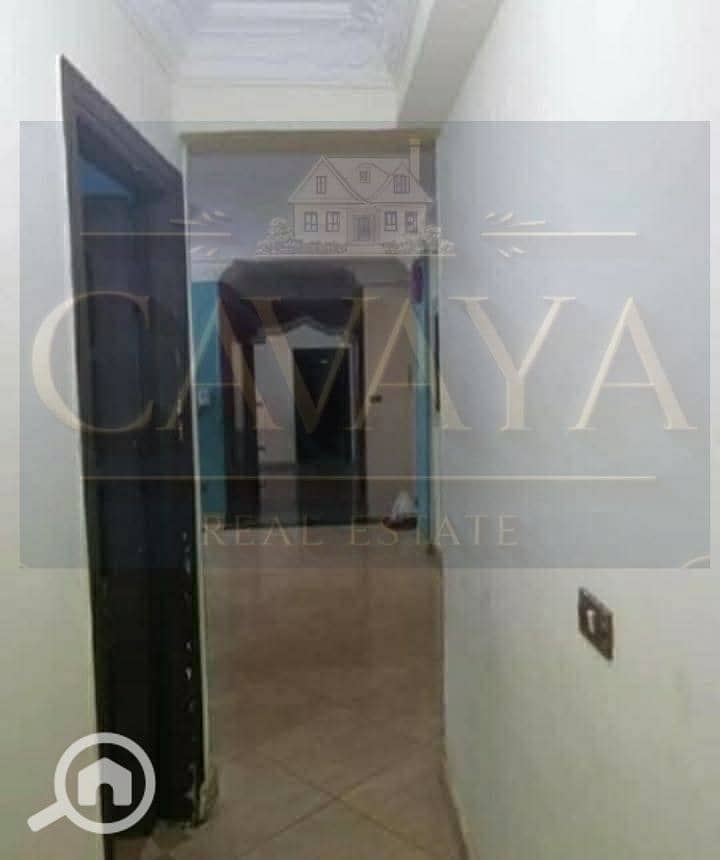 6 Untitled design (5). png