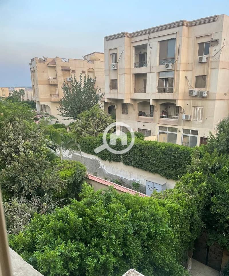 3 WhatsApp Image 2025-09-07 at 18.38. 31_0e8b03b0. jpg