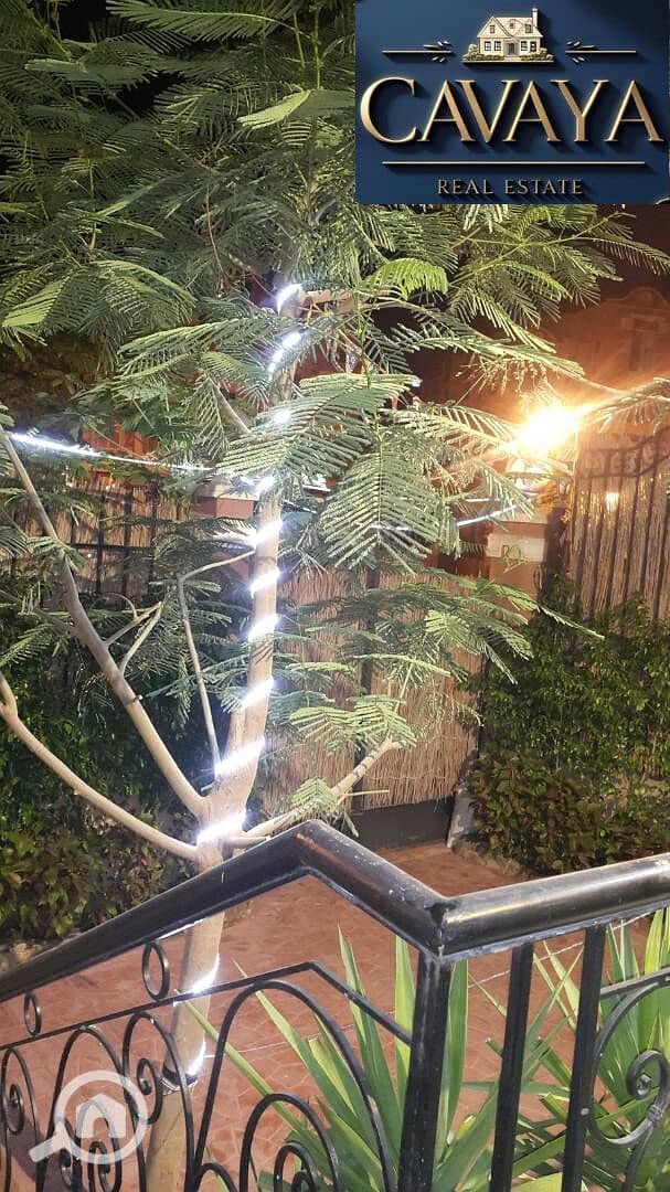 3 Untitled design (4). png