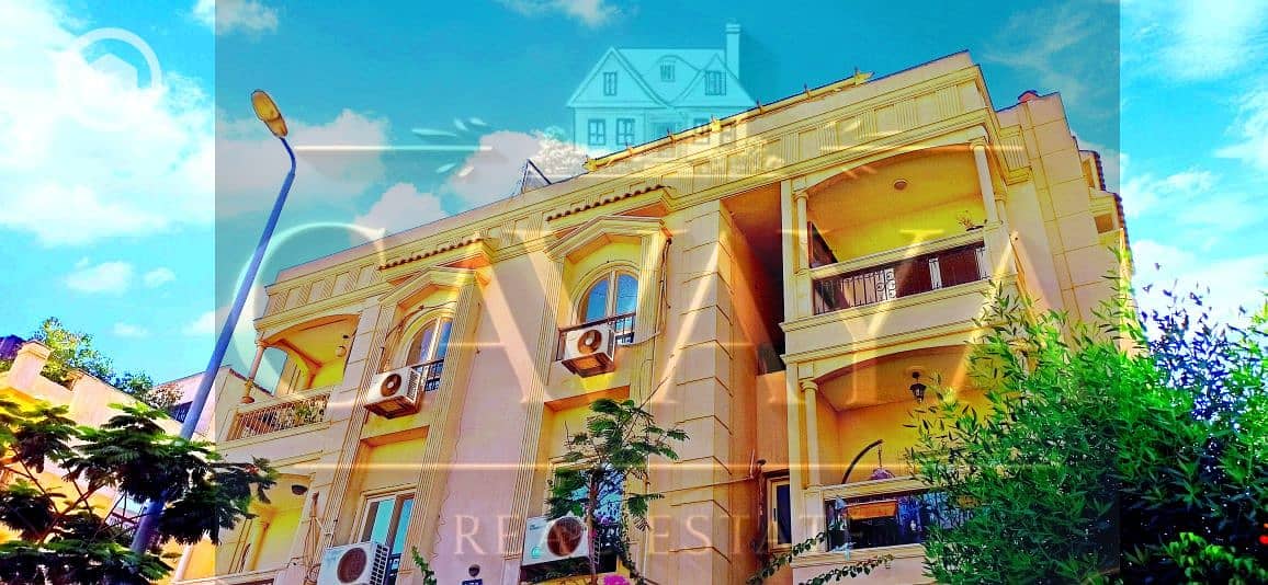 5 Untitled design (5). png