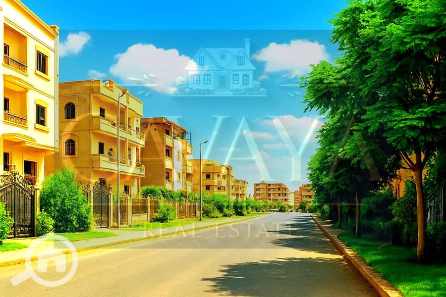 6 Untitled design (6). png